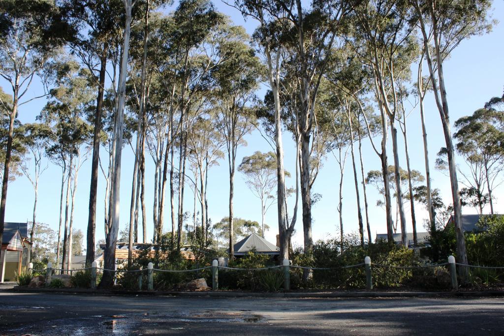 Waverley House Cottages Lakes Entrance Luaran gambar